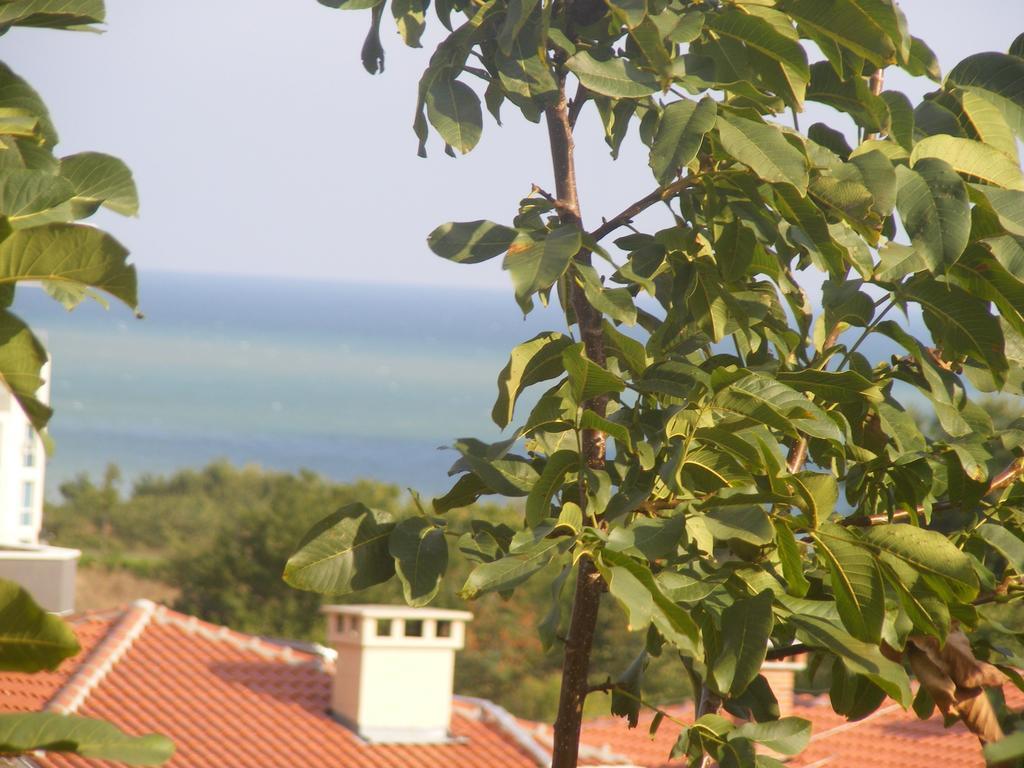 Guest House "Zora - Sarafovo" Μπουργκάς Εξωτερικό φωτογραφία